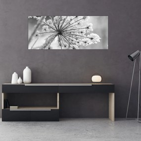 Obraz - Kvetina v zime (120x50 cm)