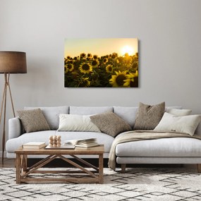 Obraz slnečnicového poľa (90x60 cm)