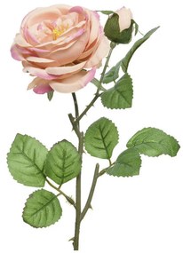 XXXLutz RUŽA 42 cm - Kvetinové dekorácie - 0037546700