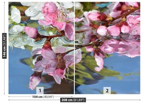 Fototapeta Vliesová Čerešňový kvet vody 104x70 cm