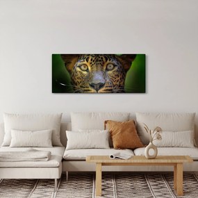 Obraz - Portrét leoparda, Sri Lanka (120x50 cm)