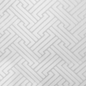 ZATEMŇOVACÍ ZÁVES NA KRÚŽKOCH ISLA 140X250 CM BIELA