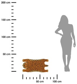 Vonkajšia rohožka Gepard, 75x38,5 cm