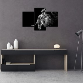 Obraz - Lev, čiernobiela (90x60 cm)