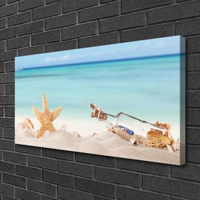 Obraz Canvas Hviezdice mušle pláž 120x60 cm