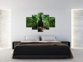 Obraz - Korene stromu (150x105 cm)