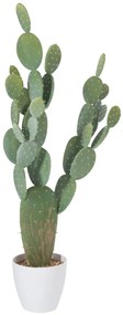 Kaktus v kvetináči XLarge - 60 * 25 * 130cm