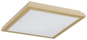 Argon Argon 1803 - Stropné svietidlo CASERTA 4xE27/15W/230V 42x42 cm AR1803