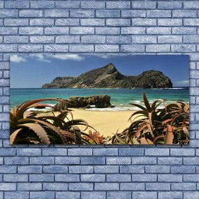 Obraz plexi Pláž more skala príroda 120x60 cm