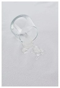 Vodoodolné chrániče na vankúše v súprave 2 ks 70x50 cm Terry – Mila Home