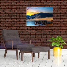 Obraz - Napájadlo (70x50 cm)