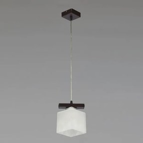 Jupiter 1096 - PO1 - Závesný luster POLA 1xE27/60W/230V wenge