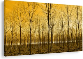 Obraz lesa pri západe slnka (90x60 cm)