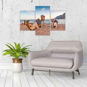 Obraz tiav (90x60 cm)