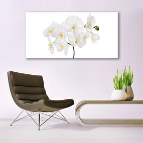 Obraz plexi Biela orchidea kvety 120x60 cm
