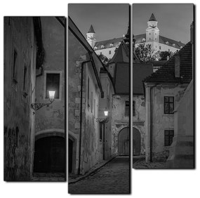 Obraz na plátne - Bratislava staré mesto s hradom vzadu - štvorec 3265QC (105x105 cm)