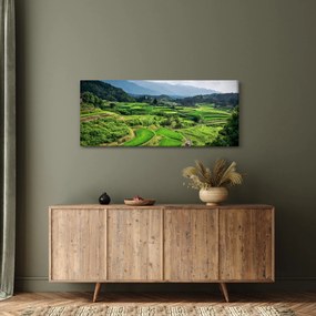 Obraz ryžových polí (120x50 cm)