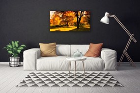 Obraz Canvas Stromy jeseň príroda 125x50 cm