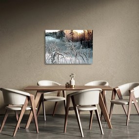 Sklenený obraz - Zamrznutá lúka (70x50 cm)