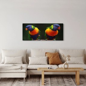 Obraz papagájov (120x50 cm)