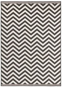 NORTHRUGS - Hanse Home koberce Kusový koberec Twin Supreme 103433 Palma black creme – na von aj na doma - 200x290 cm