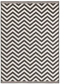 NORTHRUGS - Hanse Home koberce Kusový koberec Twin Supreme 103433 Palma black creme – na von aj na doma - 80x150 cm
