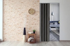 Skladacie dvere 001P grafitový dub matný 80 cm