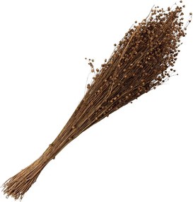Béžová kytica sušený ľan - 60 cm (100 gr)