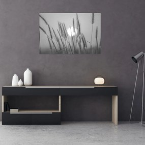 Obraz - Lúka pri západe slnka (90x60 cm)