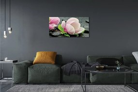 Obraz canvas Magnolia kamene 120x60 cm