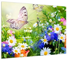Obraz letných kvetov s motýľom (70x50 cm)