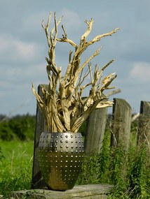 Laos Emperor Gold  64x80 cm