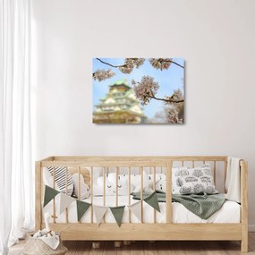 Sklenený obraz - Sakura (70x50 cm)