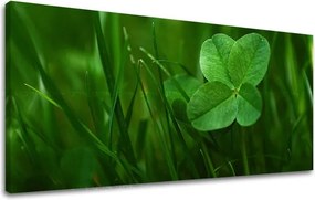 Obraz na stenu PANORÁMA RASTLINY RA008E13