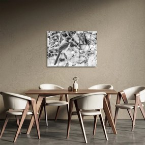 Sklenený obraz - Modrý vták v zime (70x50 cm)