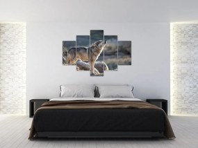Obraz - Vyjúci vlk (150x105 cm)