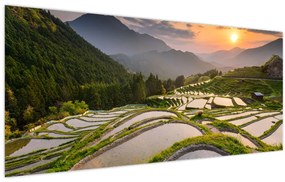 Obraz - Ryžové terasy (120x50 cm)