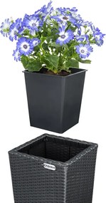 Sada 3 ks květináčů Dejo z polyratanu černá