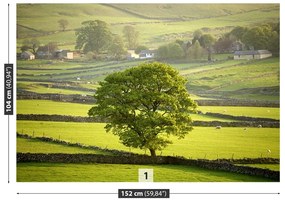 Fototapeta Vliesová Anglie derbyshire 250x104 cm