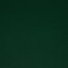 ZATEMŇOVACÍ ZÁVES NA KRÚŽKOCH LOGAN 140X270 CM TMAVOZELENÁ