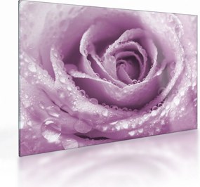 Sklenený obraz detailu kvetu ruže (70x50 cm)