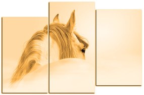 Obraz na plátne - Andalúzsky kôň v hmle 1219FC (90x60 cm)