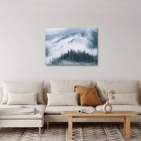 Obraz - Stromy v hmle (70x50 cm)