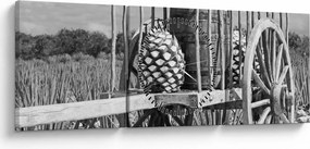 Obraz - Prívesný vozík, čiernobiela (s hodinami) (90x30 cm)
