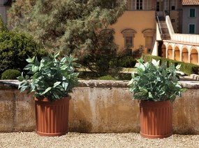 BAMA Kvetináč ROMA 35 l, terracotta Množstvo: 2 ks