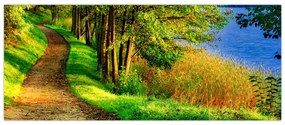 Obraz chodníky pozdĺž vody (120x50 cm)