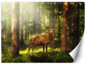 Gario Fototapeta Jeleň v lese Materiál: Vliesová, Rozmery: 200 x 140 cm