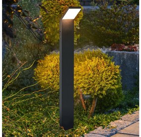 Brilagi - LED vonkajšie svietidlo RIANO LED/8W/230V antracit IP65 80 cm