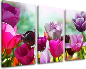 Obraz na stenu 3 dielny KVETY XOBKV148E30 - 90x60 cm