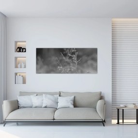Obraz - Vidiecka lúka (120x50 cm)
